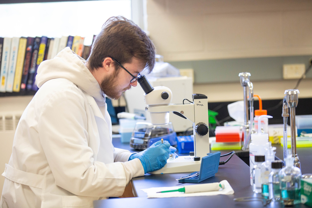 Austin Glazer '22 looking into microscope 