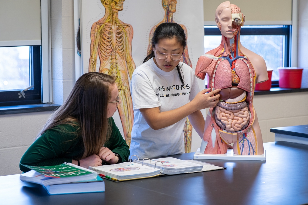 Students in biology lab studying human model 