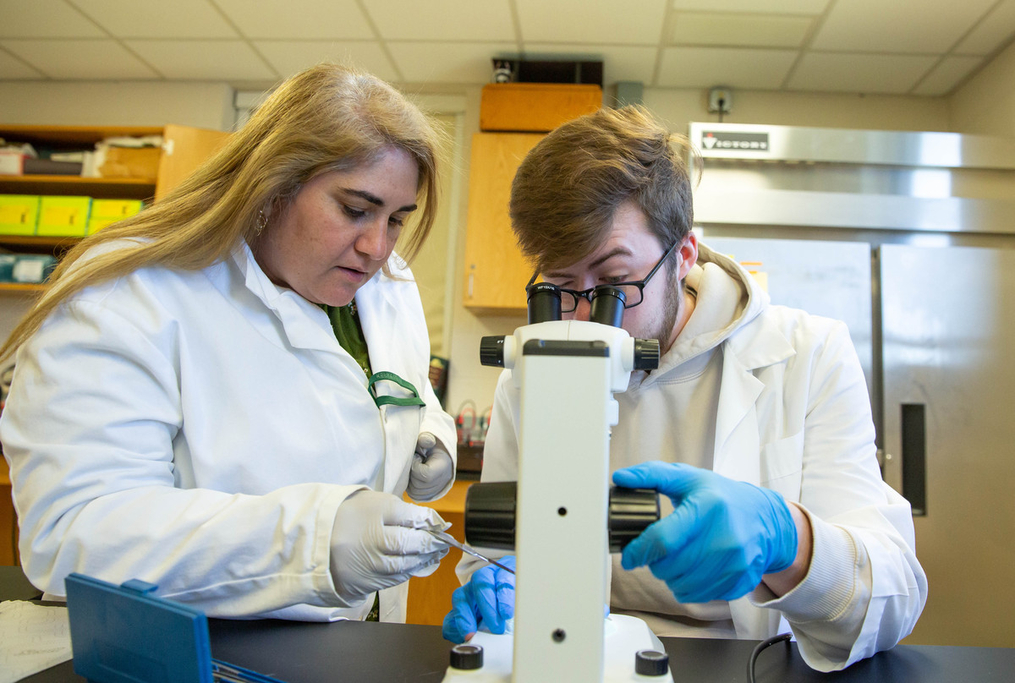 Austin Glazer and Dr. Luciano look into microscope in biology lab 